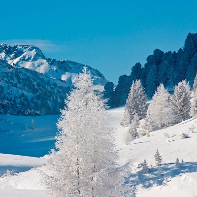 Winter_Defereggental_Osttirol_St.Jakob_verschneite Landschaft
