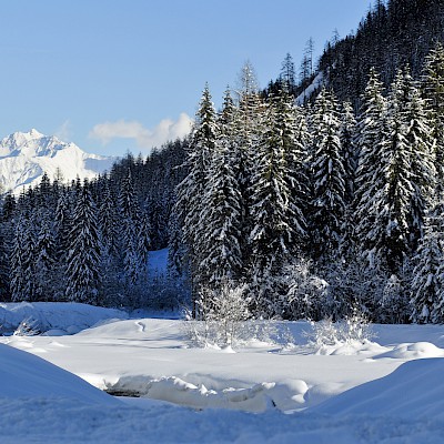 Winter_Defereggental_Osttirol_St. Jakob_verschneite Lanschaft an der Schwarzach