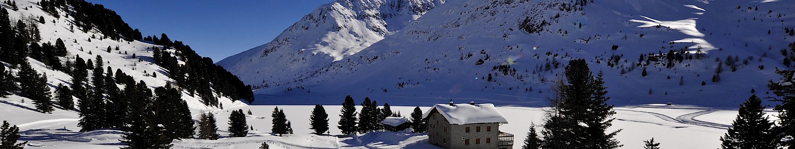 Winter 6