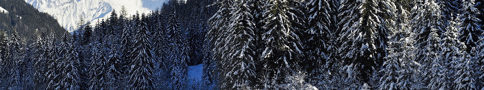 Winter 2