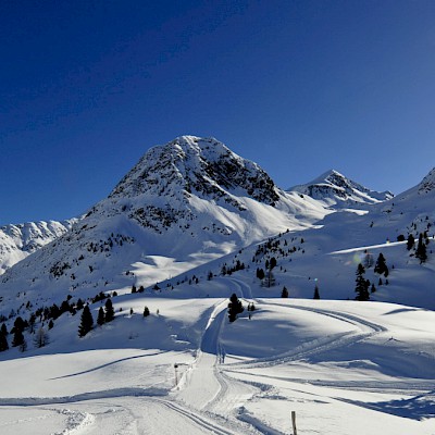 Winter_Defereggental_Osttirol_St.Jakob_Staller Sattel Obersee_Langlauf-Paradies