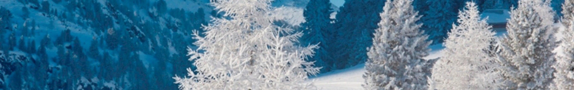 Winter im Defereggental
