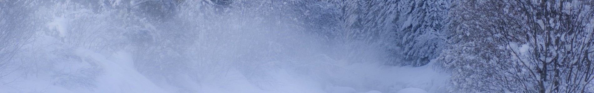 Winter im Defereggental