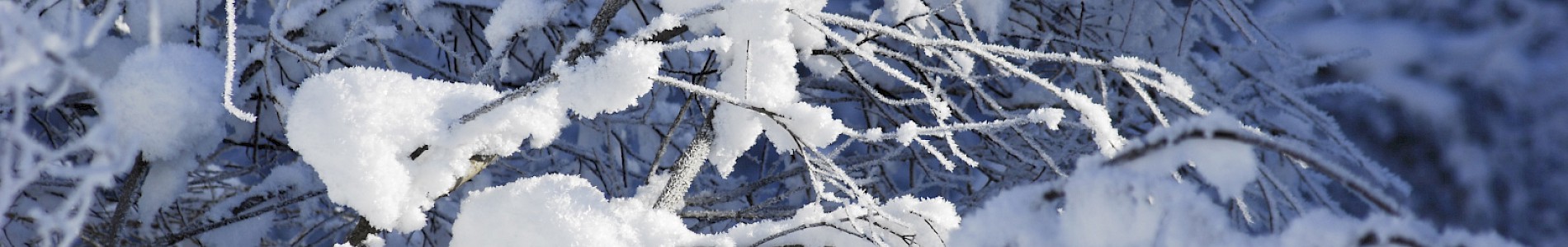 Winter im Defereggental