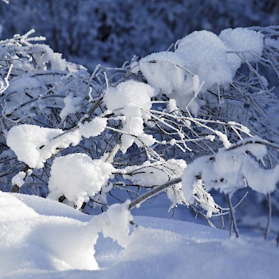 Winter_Defereggental_Osttirol_St.Jakob_Neuschnee im Sonnenlicht