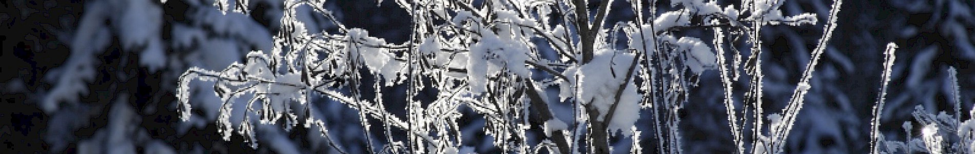 Winter im Defereggental