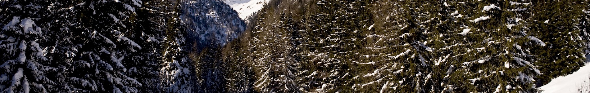 Winter im Defereggental