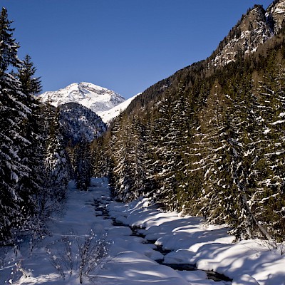 Winter_Defereggental_Osttirol_St.Jakob_Bach Schwarzach in Patsch
