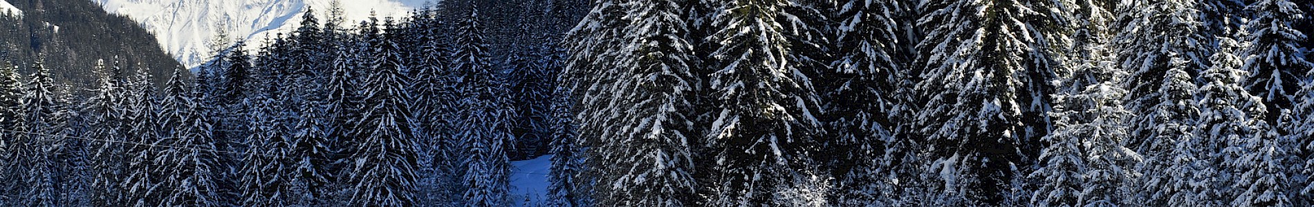 Winter im Defereggental