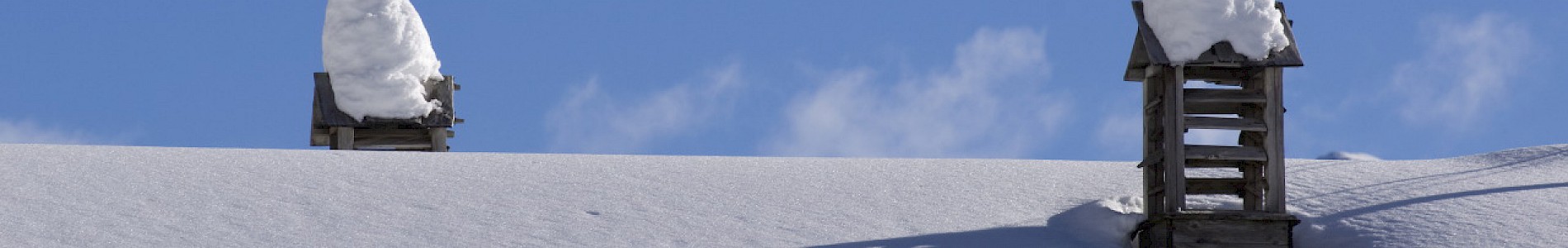 Winter im Defereggental