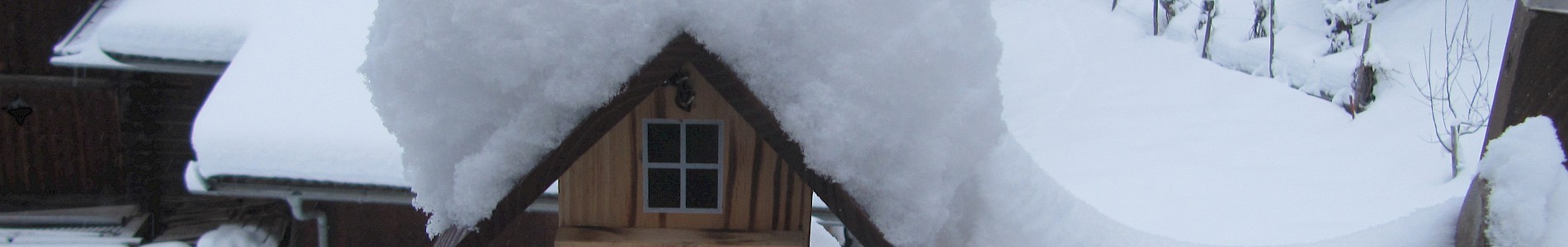 Haus Taumberger