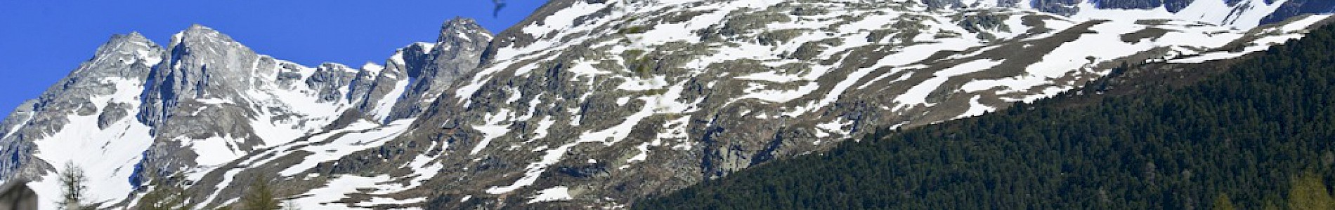 Frühling im Defereggental