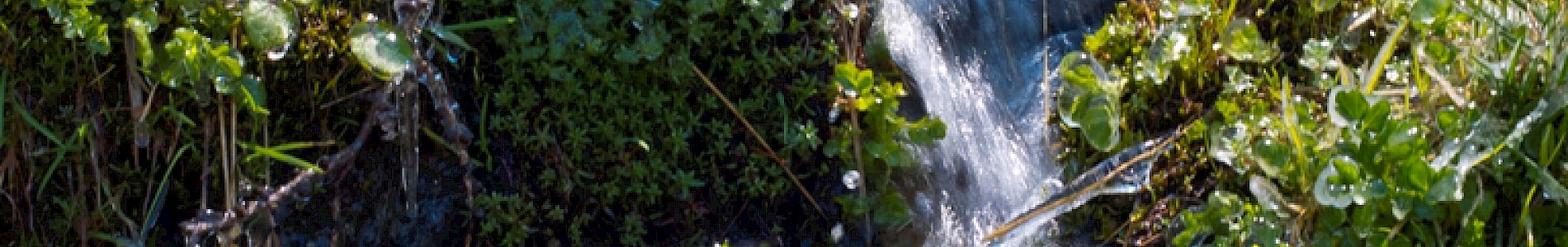 Frühling im Defereggental