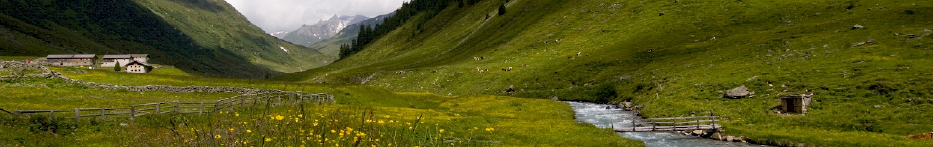 Sommer im Defereggental