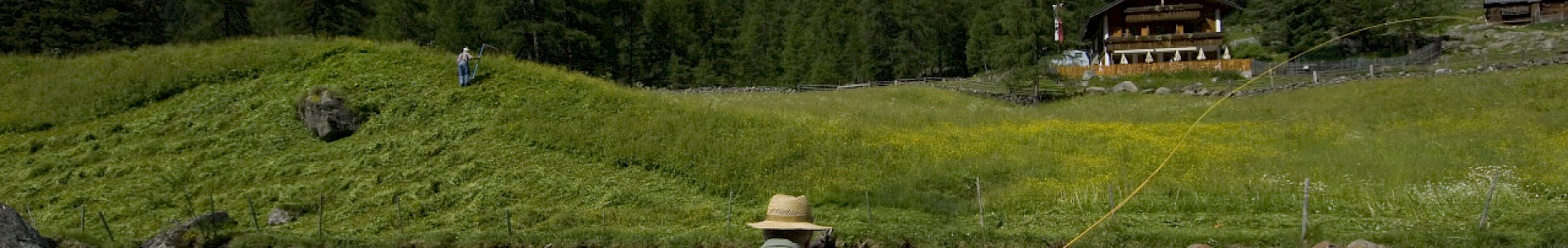 Sommer im Defereggental
