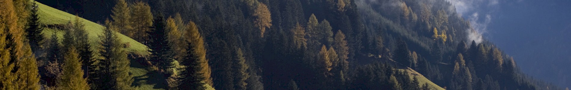 Herbst im Defereggental