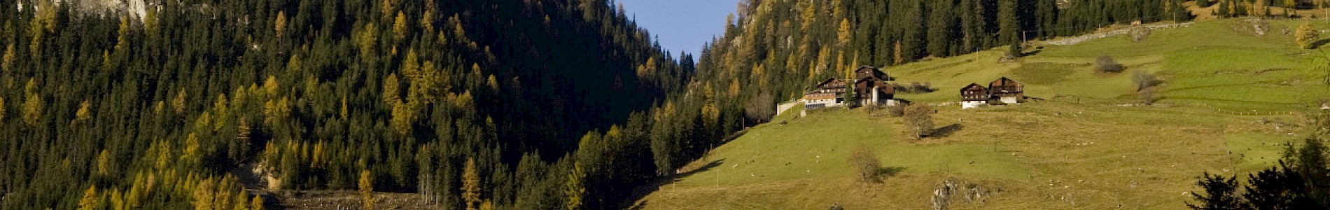 Herbst im Defereggental