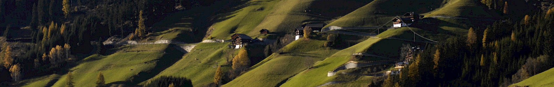 Herbst im Defereggental