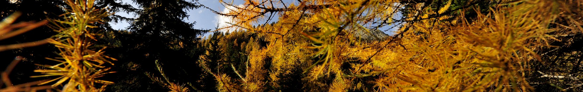 Herbst im Defereggental