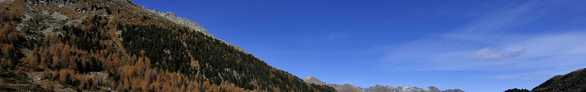 Herbst im Defereggental