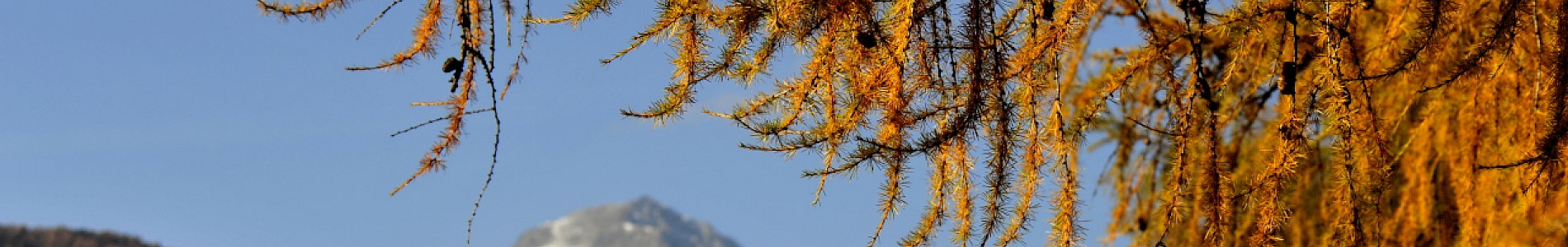 Herbst im Defereggental