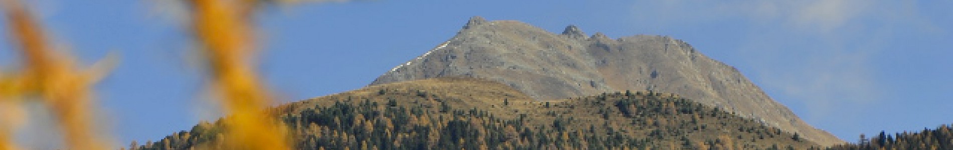 Herbst im Defereggental