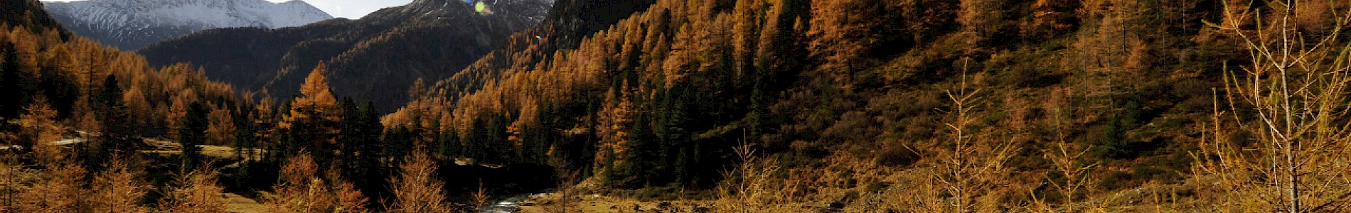 Herbst im Defereggental
