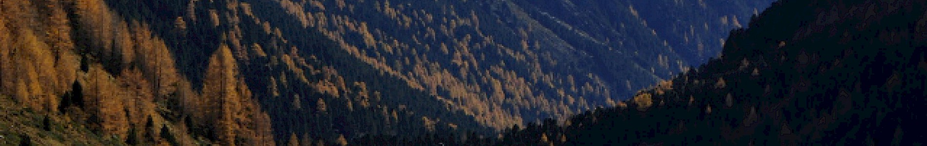 Herbst im Defereggental