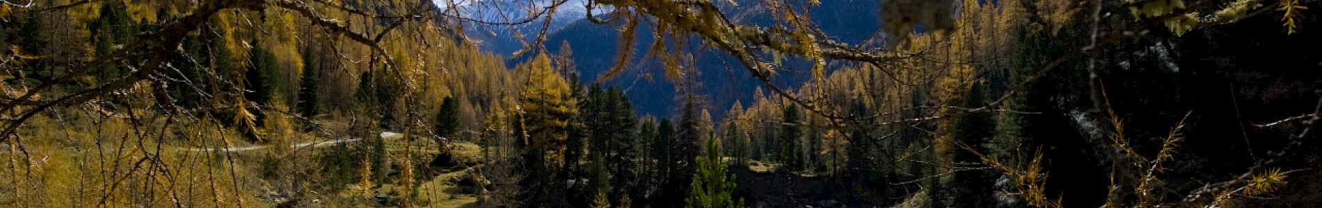 Herbst im Defereggental