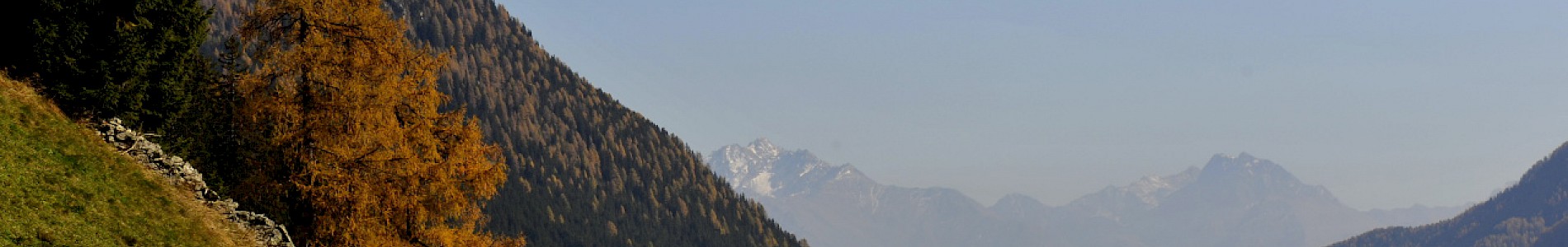 Herbst im Defereggental