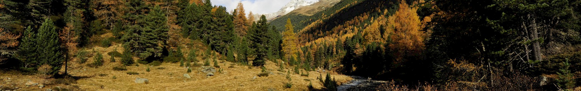 Herbst im Defereggental
