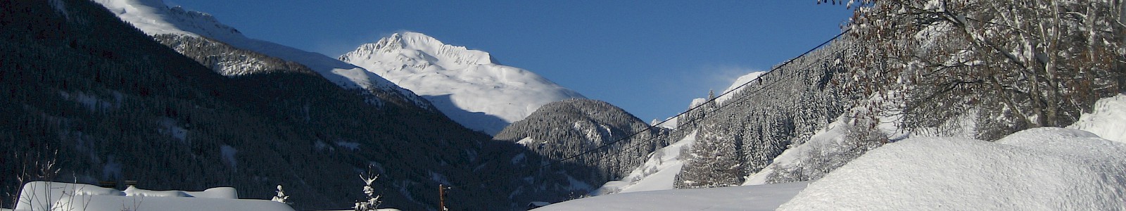 winter